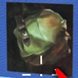 image satchel