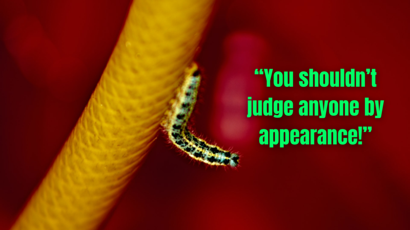 strong quotes about people